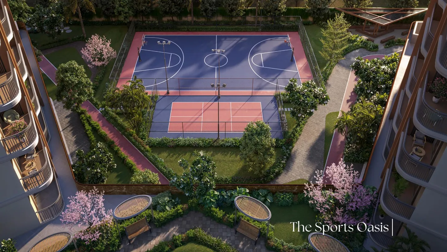 The sports oasis